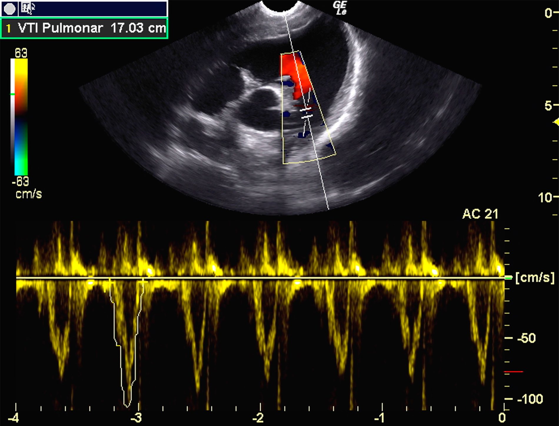 cardiologia cardiologia