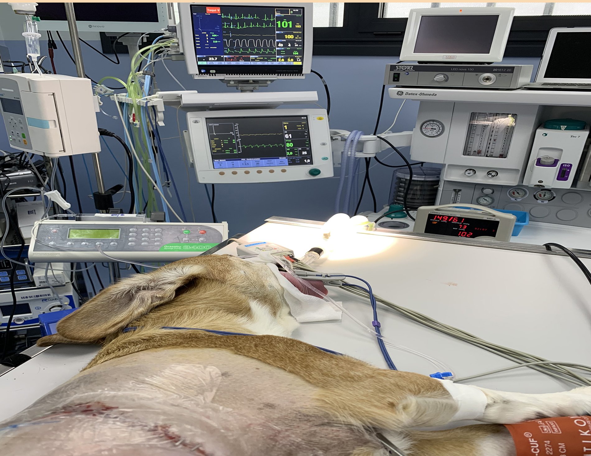 cirugía torácica cirugía torácica