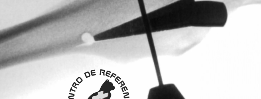 TTA con fluoroscopio