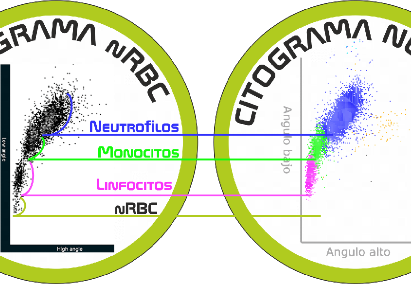 interpretación del scatergrama