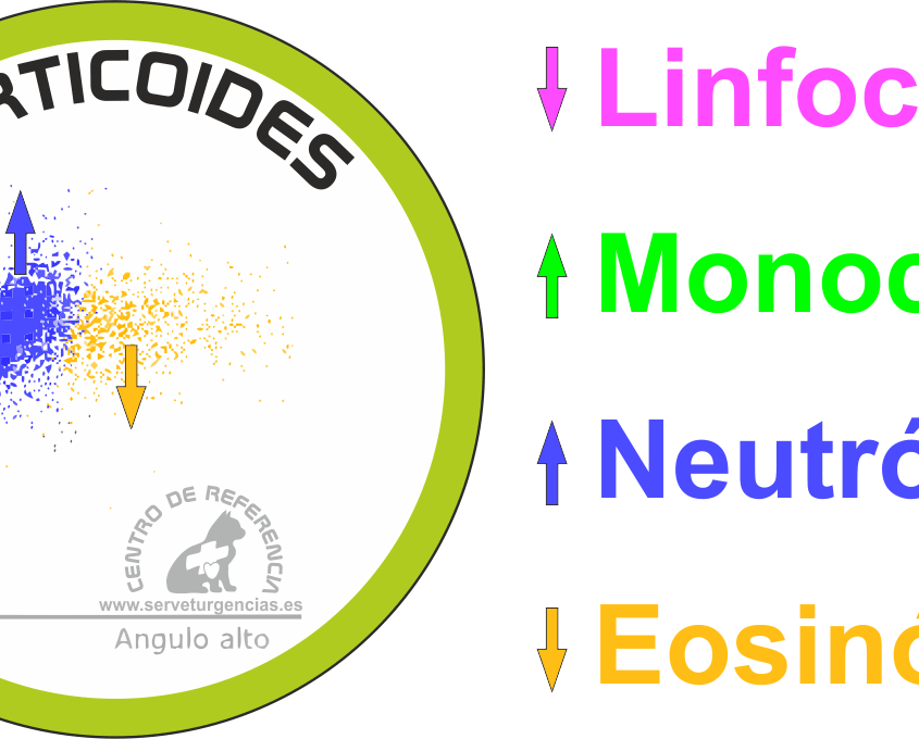 serie blanca y corticoides