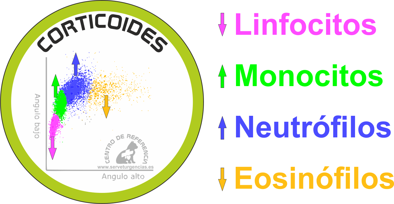 serie blanca y corticoides