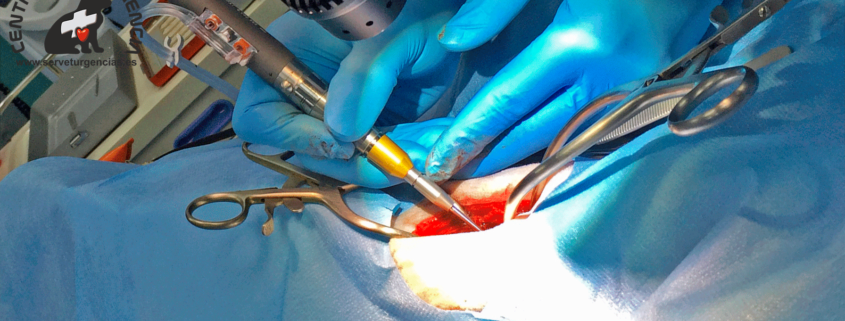 Slot ventral Servet Urgencias