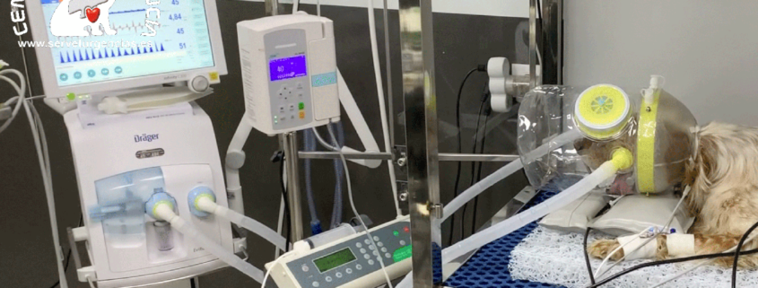 ventilación no invasiva Servet Urgencias