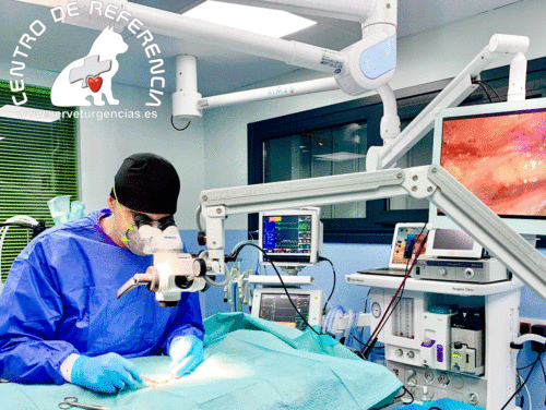 Quirófano Microcirugía Servet Urgencias